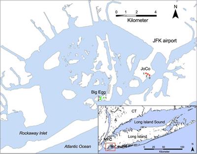 Small-Scale Geochemical Heterogeneities and Seasonal Variation of Iron and Sulfide in Salt Marshes Revealed by Two-Dimensional Sensors